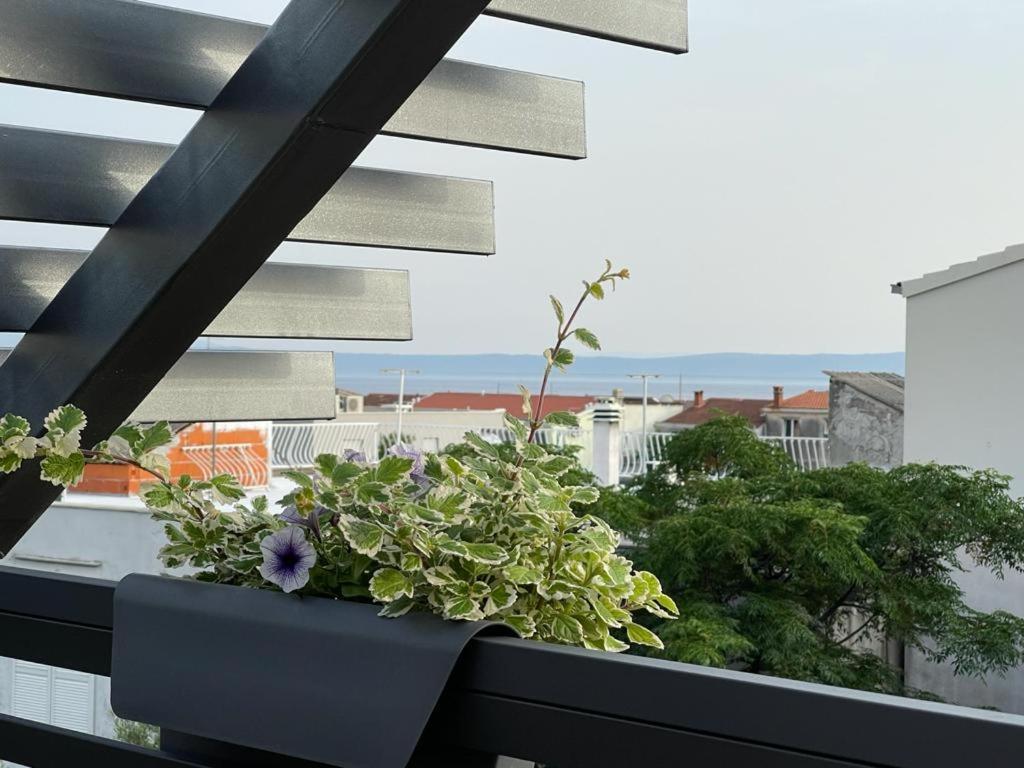 Villa Jadranka Apartments Tučepi Eksteriør bilde